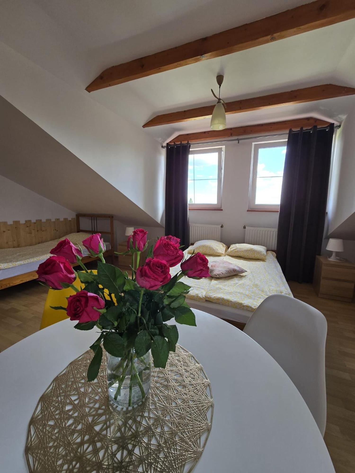 Villa Mango Wladyslawowo Chlapowo Экстерьер фото
